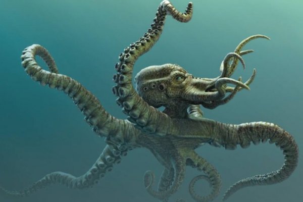 Kraken домен