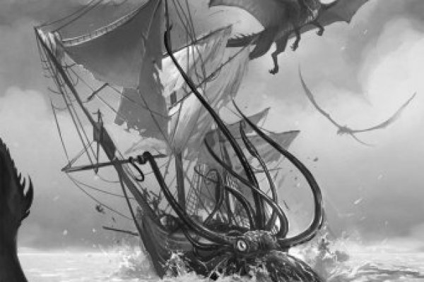 Kraken 24 top