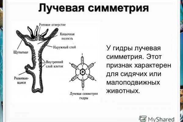 Ссылка на кракен тор