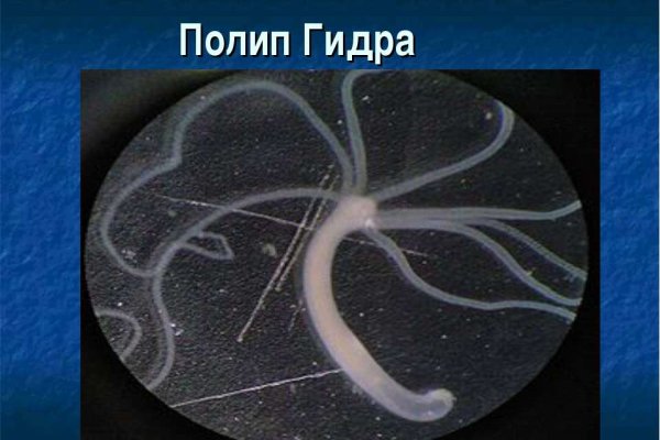 Как найти настоящую кракен даркнет ссылку