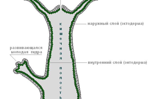 Кракен маркет даркнет только через тор скачать
