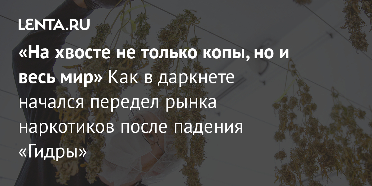Кракен что там продают