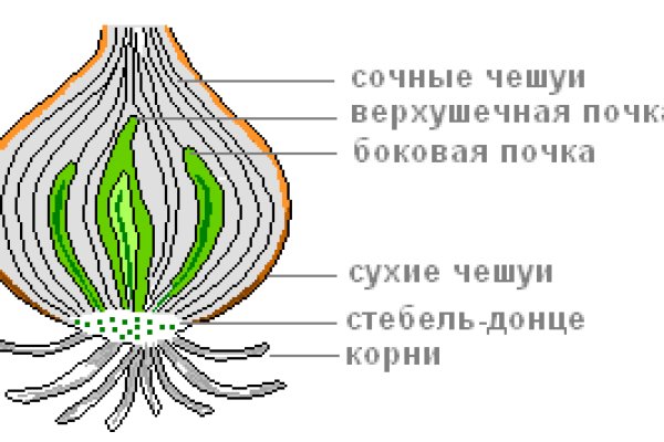 Рабочие ссылки и зеркала кракен